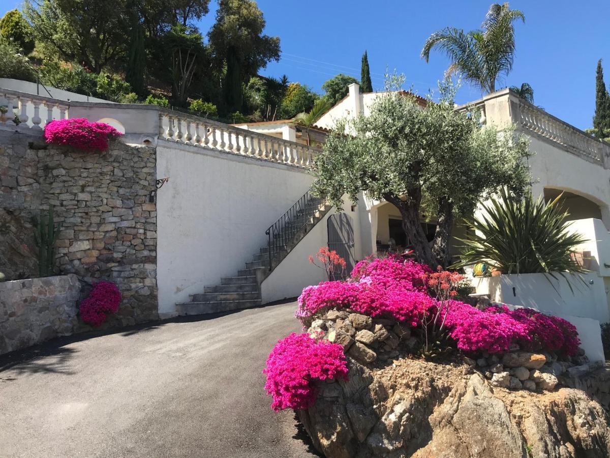 3 Bedrooms Villa Near Cannes - Pool & Jacuzzi - Sea View Mandelieu Kültér fotó