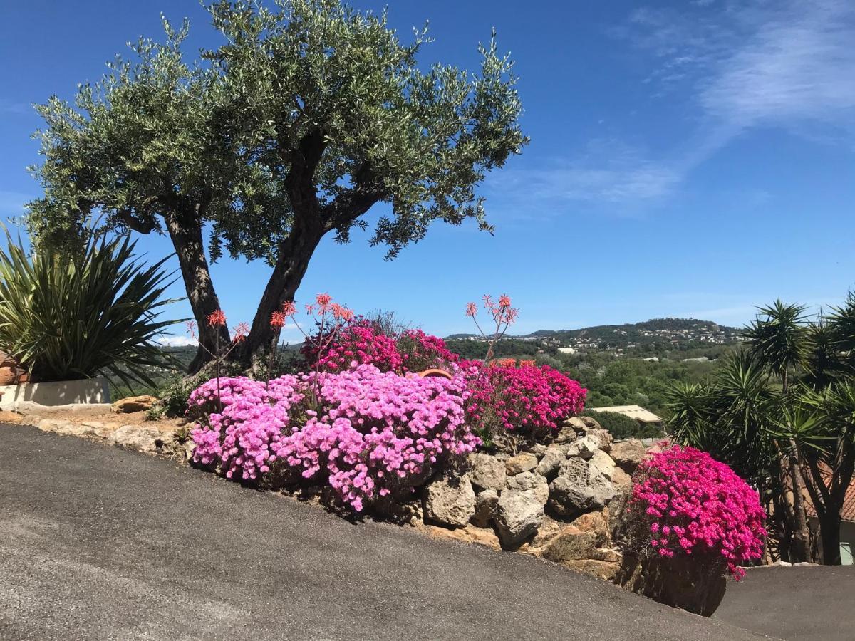 3 Bedrooms Villa Near Cannes - Pool & Jacuzzi - Sea View Mandelieu Kültér fotó